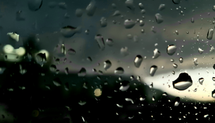 Агро - Агро Телеграф: Садим смокини и касис в топлите дни