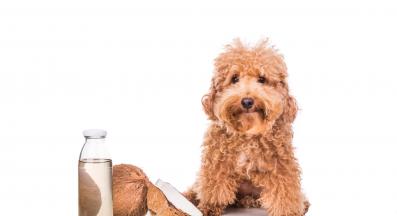 кокосово масло