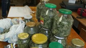 Иззеха буркан с марихуана в Монтана съобщиха от полицията На