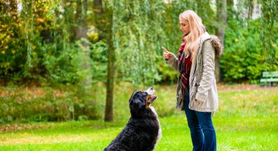 тренировка на куче