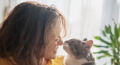 котка целува човек