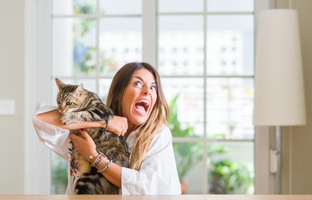 ядосана жена и котка 2