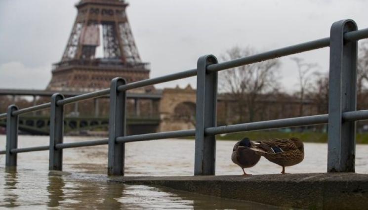 Париж - СЕНА ОТВОРЕНА ЗА ПЛУВЦИ – НО БЕЗ ГАРАНЦИИ!