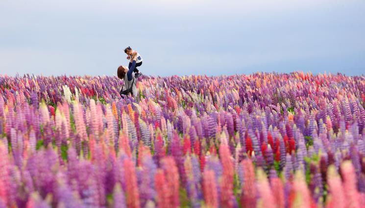 Астро - АСТРО: Добра поличба за Девата, Близнаците да овладеят енергията си