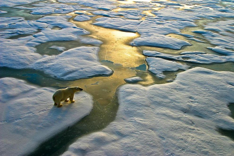Според публикувано изследване Арктика се е затоплила почти четири пъти