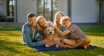 голдън ретривър