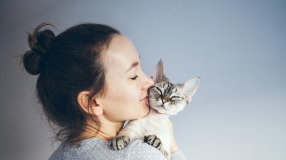 8 съвета за нови собственици на котки