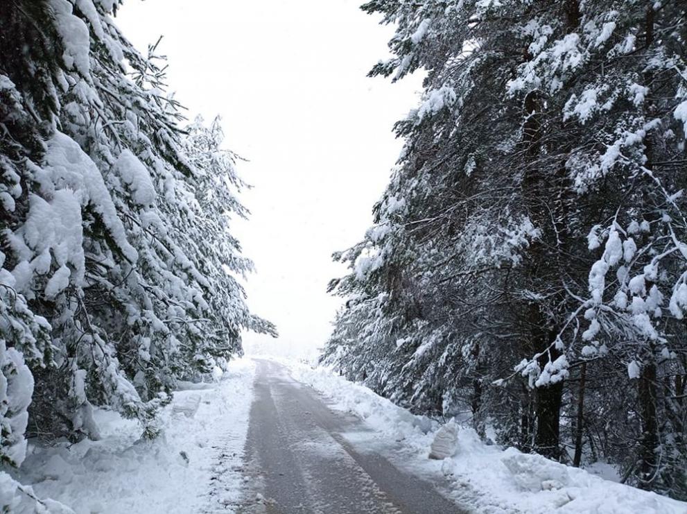 Зимна е обстановката в Северозападна България. 20 сантиметра сняг натрупа
