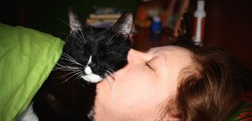 Защо котката спи върху главата ми