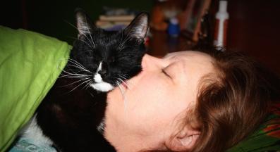 котка спи върху жена