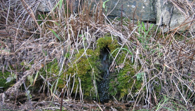 вяра - ВЯРА: Аязмо на богомили отмива болестите