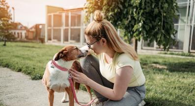 куче и човек