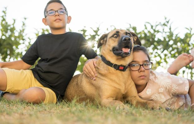осоновено куче с деца