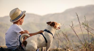 дете и куче