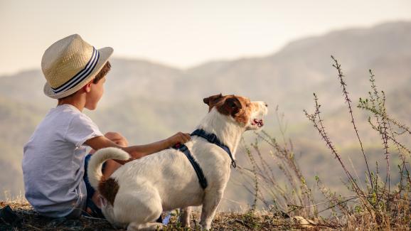 дете и куче