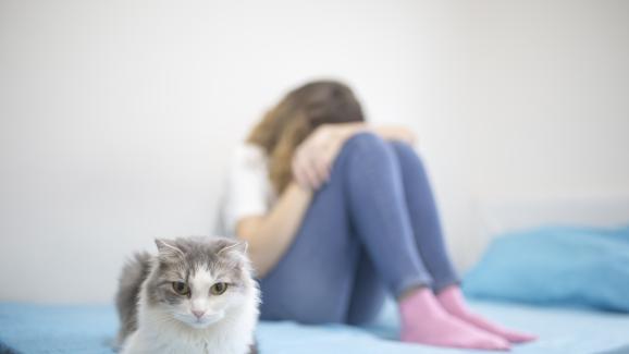 Котките усещат ли емоциите на стопаните си