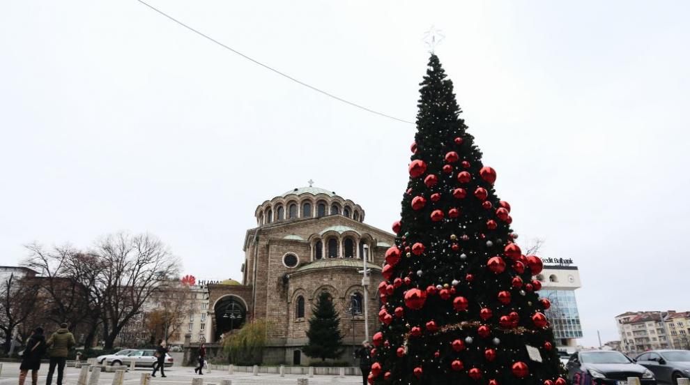 Коледни светлини озариха градовете на страната (СНИМКИ)