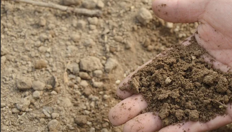 Агро - Агро Телеграф: Оборският тор най-подходящ за поливни площи