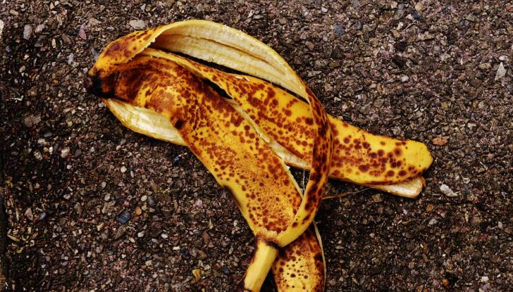 Агро - Агро Телеграф: Подхранваме растенията с тор от бананова кора