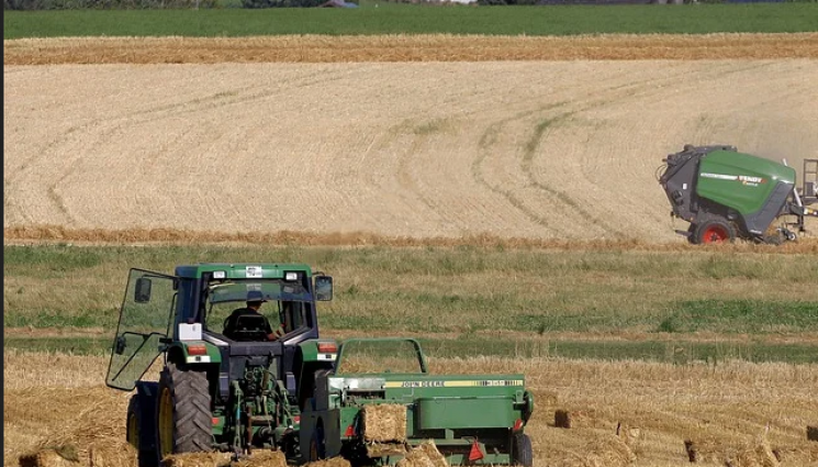 Агро - Агро Телеграф: Гледаме домати и пипер в бали слама
