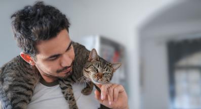 стопанин и котка