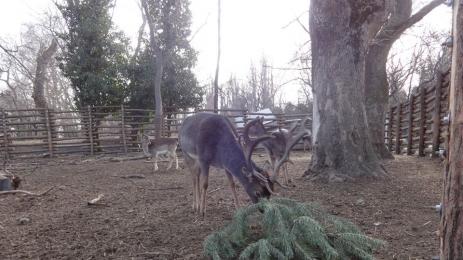 Зоопарк Варна