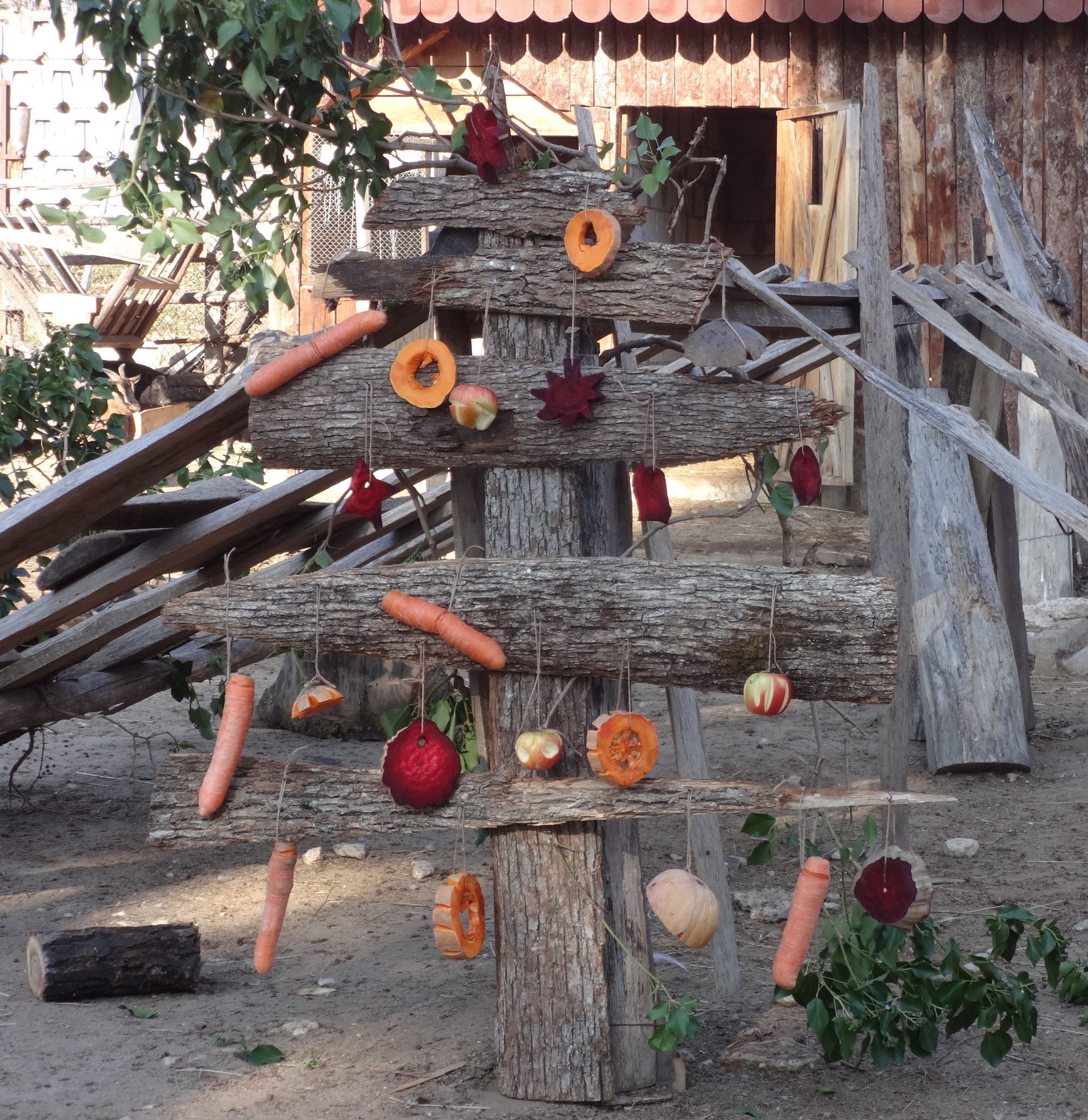 Зоопарк Варна