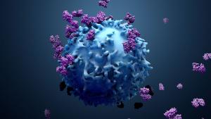 Най тежкият период от пандемията на коронавирус е зад гърба ни