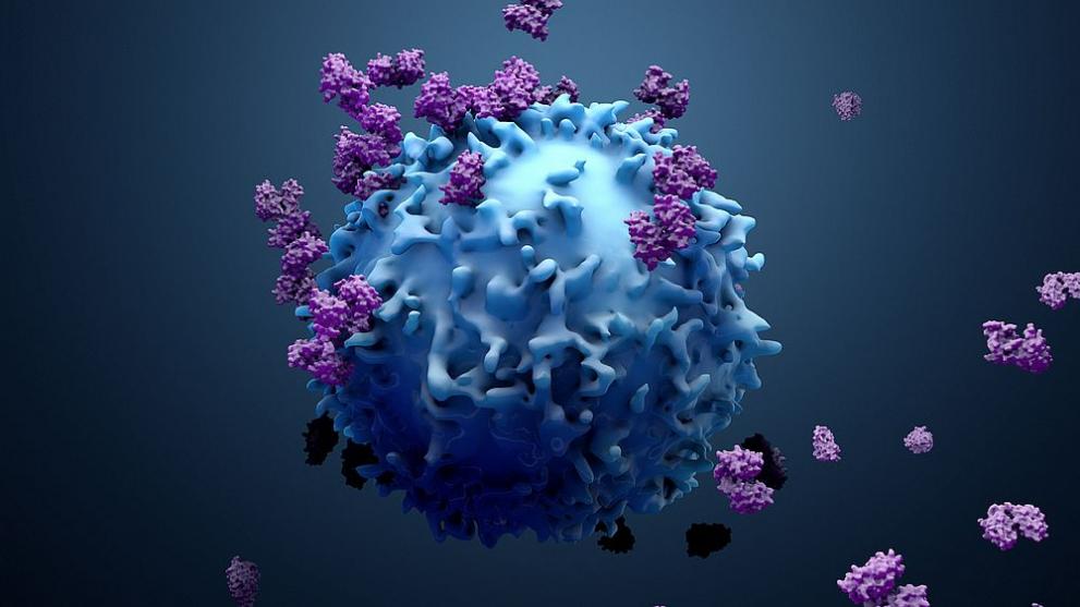 Силно заразният вариант Омикрон на вируса SARS-CoV-2, чиято най-разпространена форма