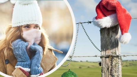 време Коледа