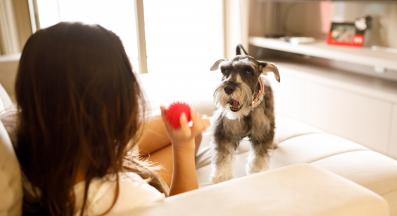 куче с топка