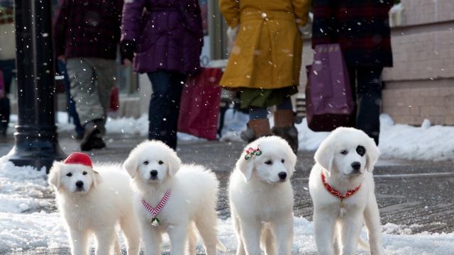 Коледно вълшебство и празнични емоции в Деня на Дисни на 26-и декември