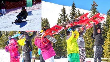 Шейни зона Витоша