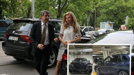 Плевнелиеви