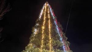 секвоя овча купел