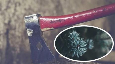 брадва елха