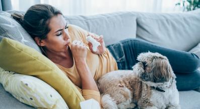 куче настинка