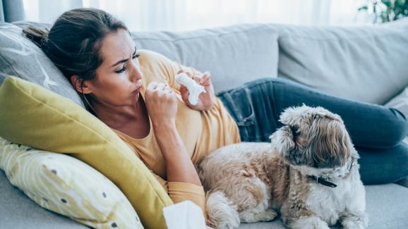 куче настинка