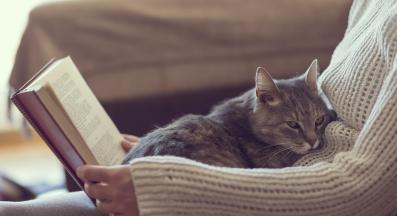 котка върху човек