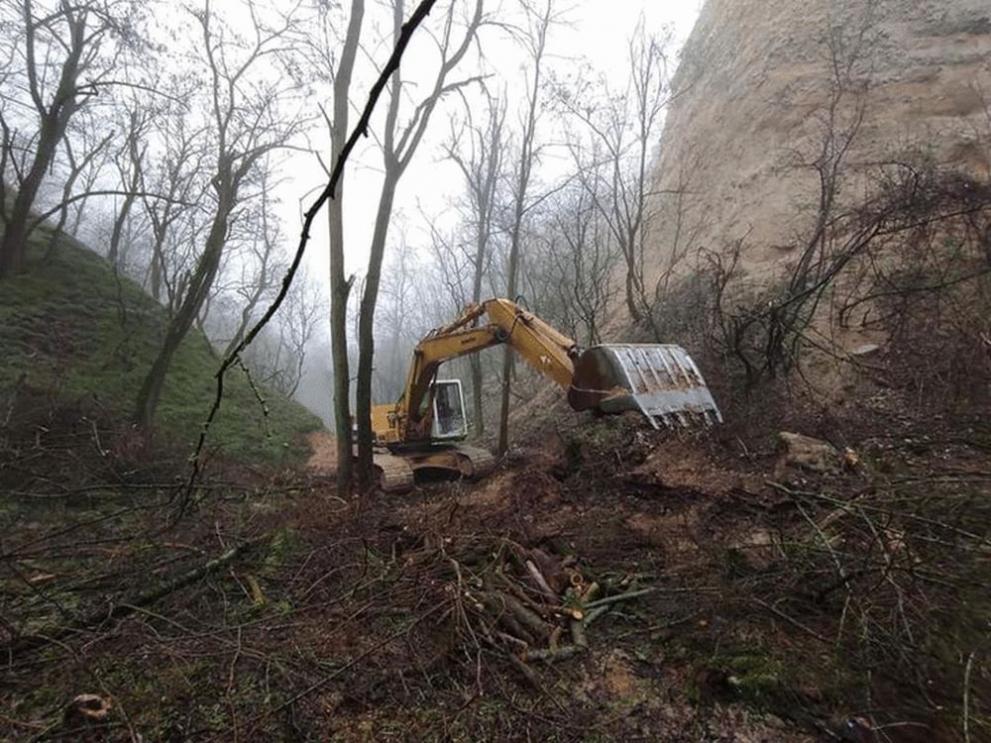 РИОСВ-Благоевград провери сигнал за изкопни дейности и унищожаване на дървета