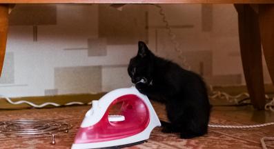 коте и ютия