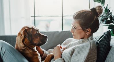 куче с болен стопанин