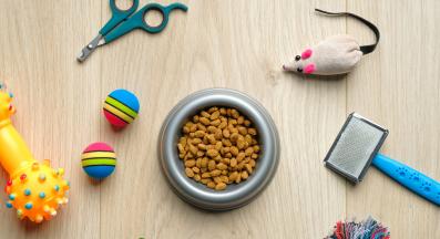 котешки принадлежности