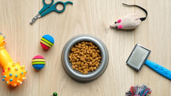 Основни принадлежности, които ви трябват преди да осиновите коте