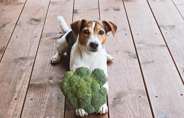 куче зеленчуци