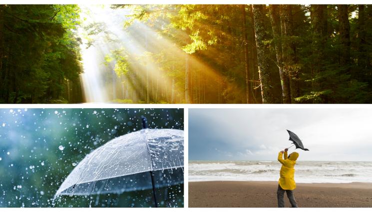 времето - НИМХ спират прогнозата за времето в знак на протест заради преместването му в МОСВ