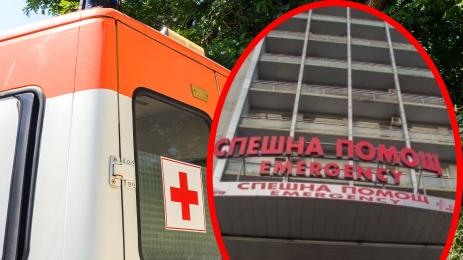 линейка пирогов