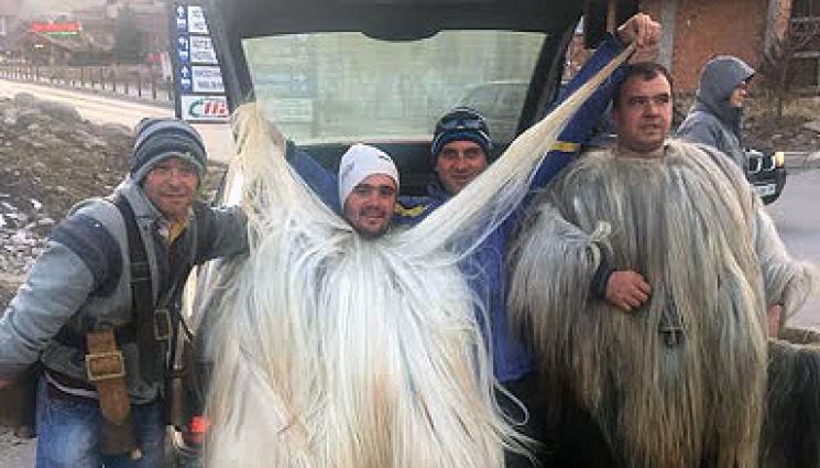 Мимо3 - Кукерът Мимо дефилира със 125 см кукерски костюм, ще кандидатства за ракорд на Гинес