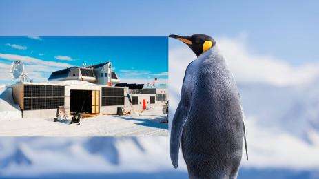 антарктида