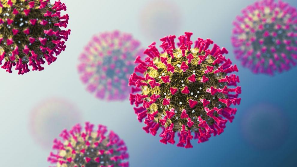 2 903 са новите случаи на коронавирус за изминалото денонощие.